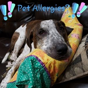 Pet allergies beware!